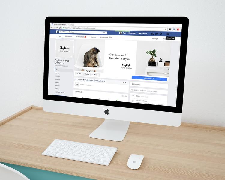 Business owner using Facebook QR code marketing strategy on smartphone with social media analytics dashboard