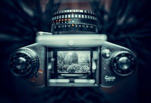 Camera viewfinder showing different aspect ratio grid overlays on portrait photo