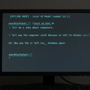 Terminal showing an AI chat running completely offline with dark theme