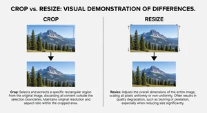 Crop vs Resize: What's the Difference for GIFs?