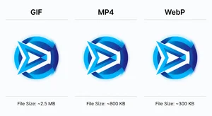 Three side-by-side panels comparing GIF, MP4, and WebP animated formats showing the same spinning logo animation with file size labels underneath each, on a clean white background